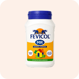 Fevicol & Sealants