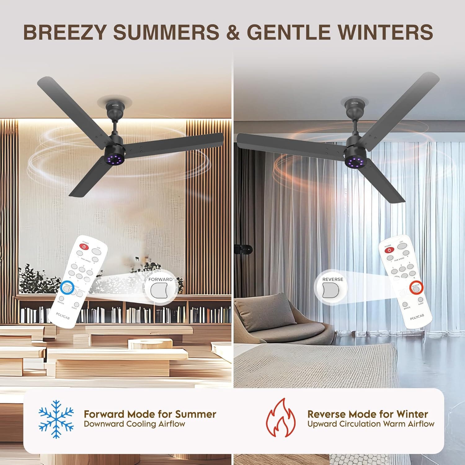 Polycab Wizzy Plus LED BLDC Ceiling Fan - View 4