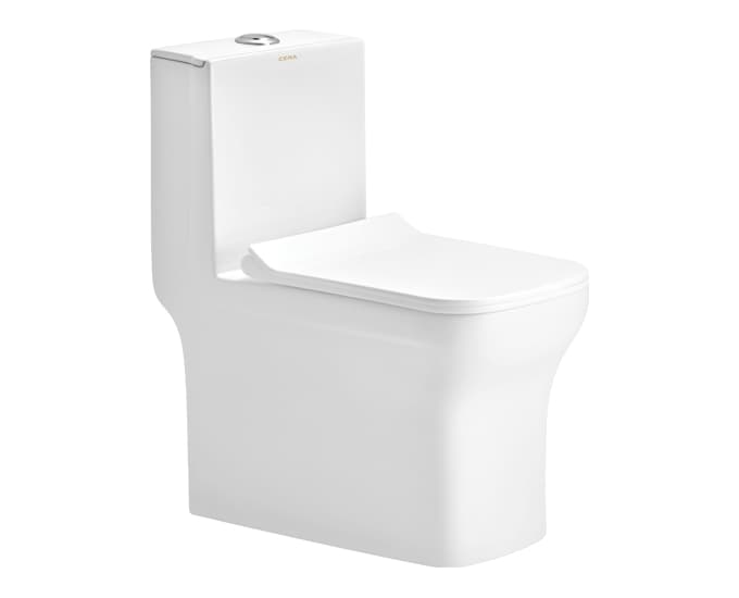CERA Cattler One Piece EWC with Soft Close Seat Cover, 220mm S-Trap, Snow White, S1013208SN
